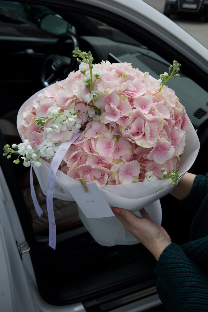 Квіти: Гортензія, матіола