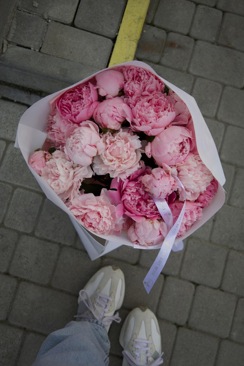 Квіти: Півонії