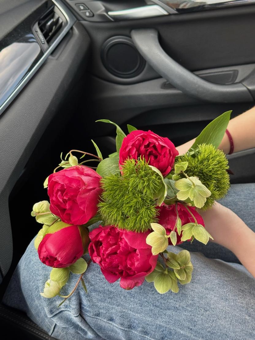 Квіти: Піони, гвоздика мох, хелеборум