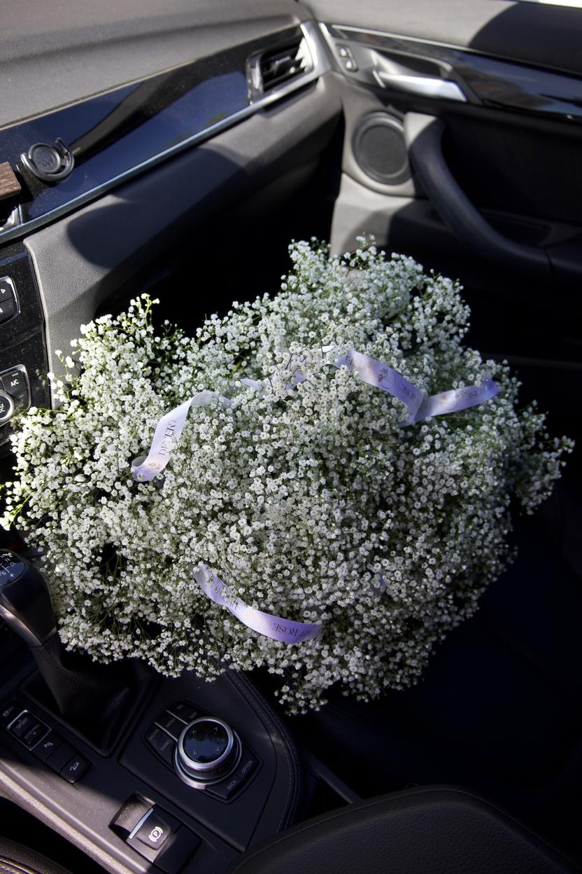 Квіти: Гіпсофіла