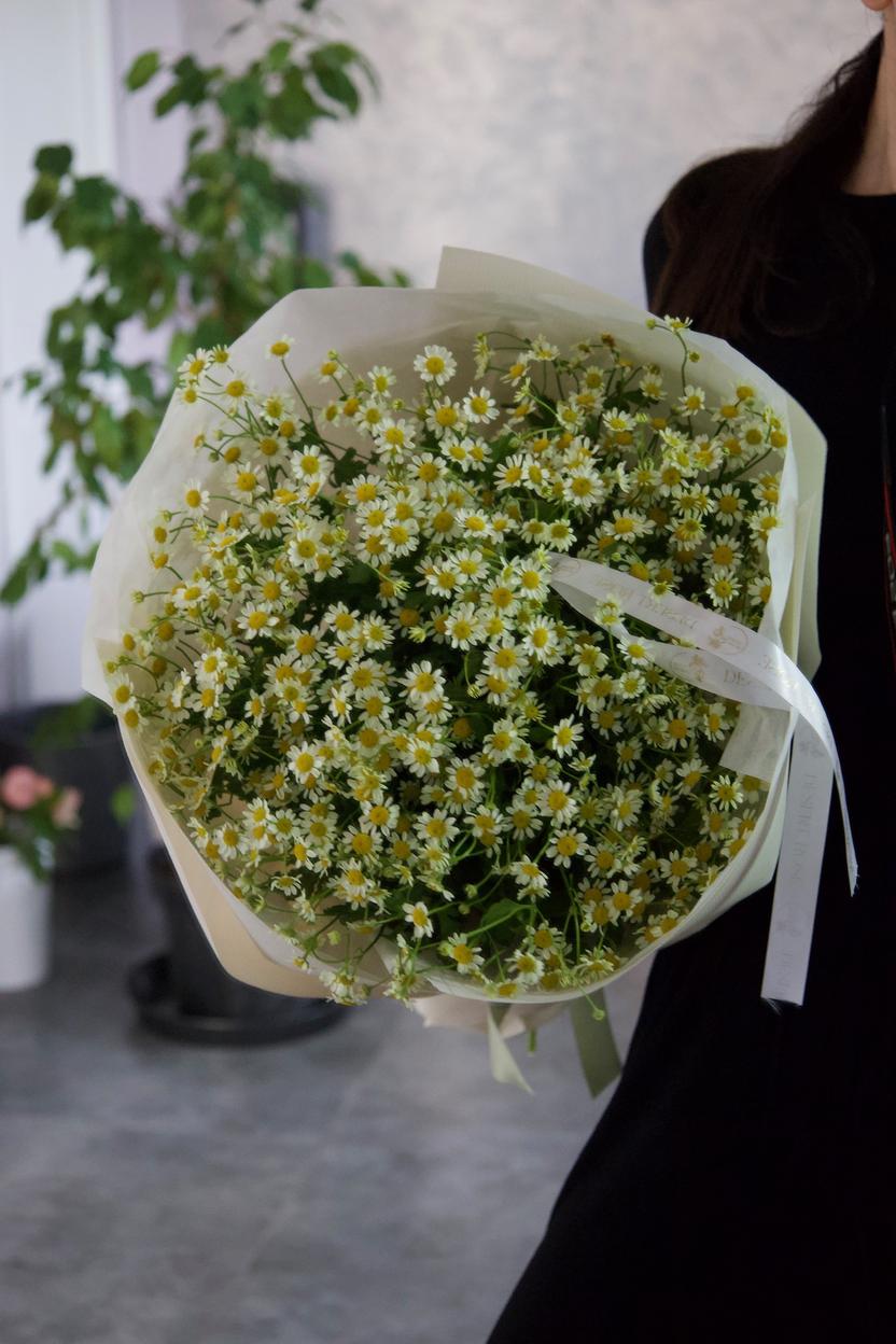 Квіти: Танацетум