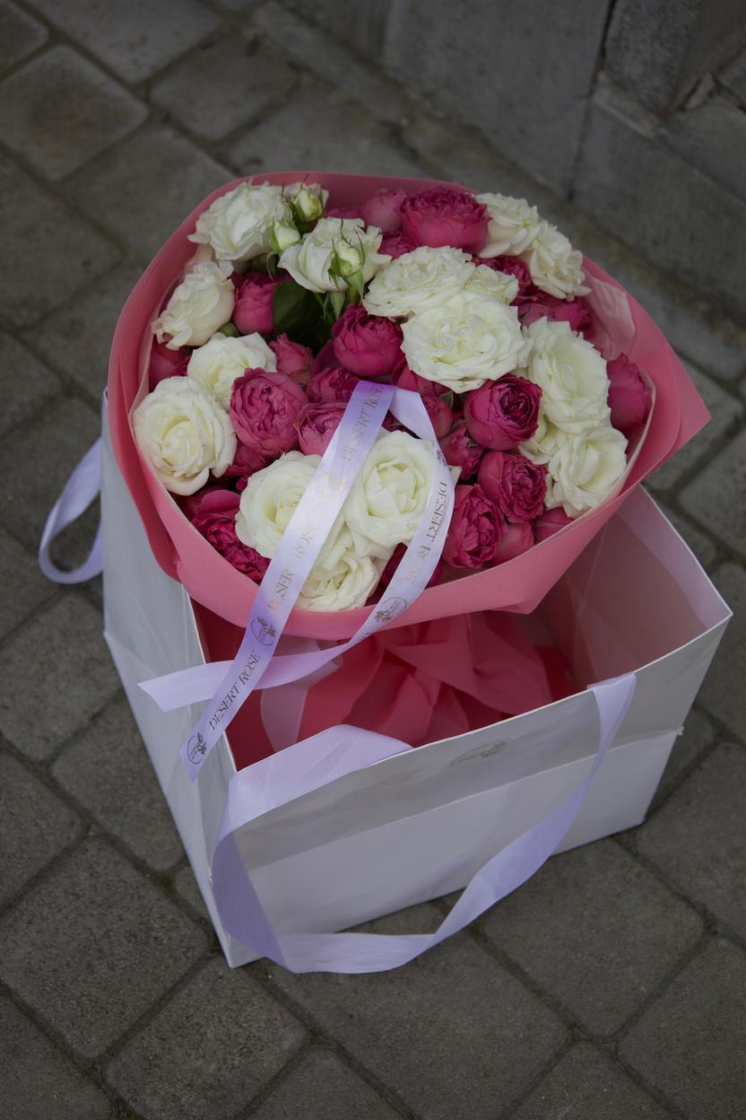 Квіти: Кущова троянда Wedding Party, Misty Bubbles