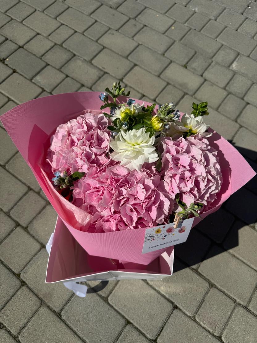 Квіти: Гортензія, жоржина, оксипеталум