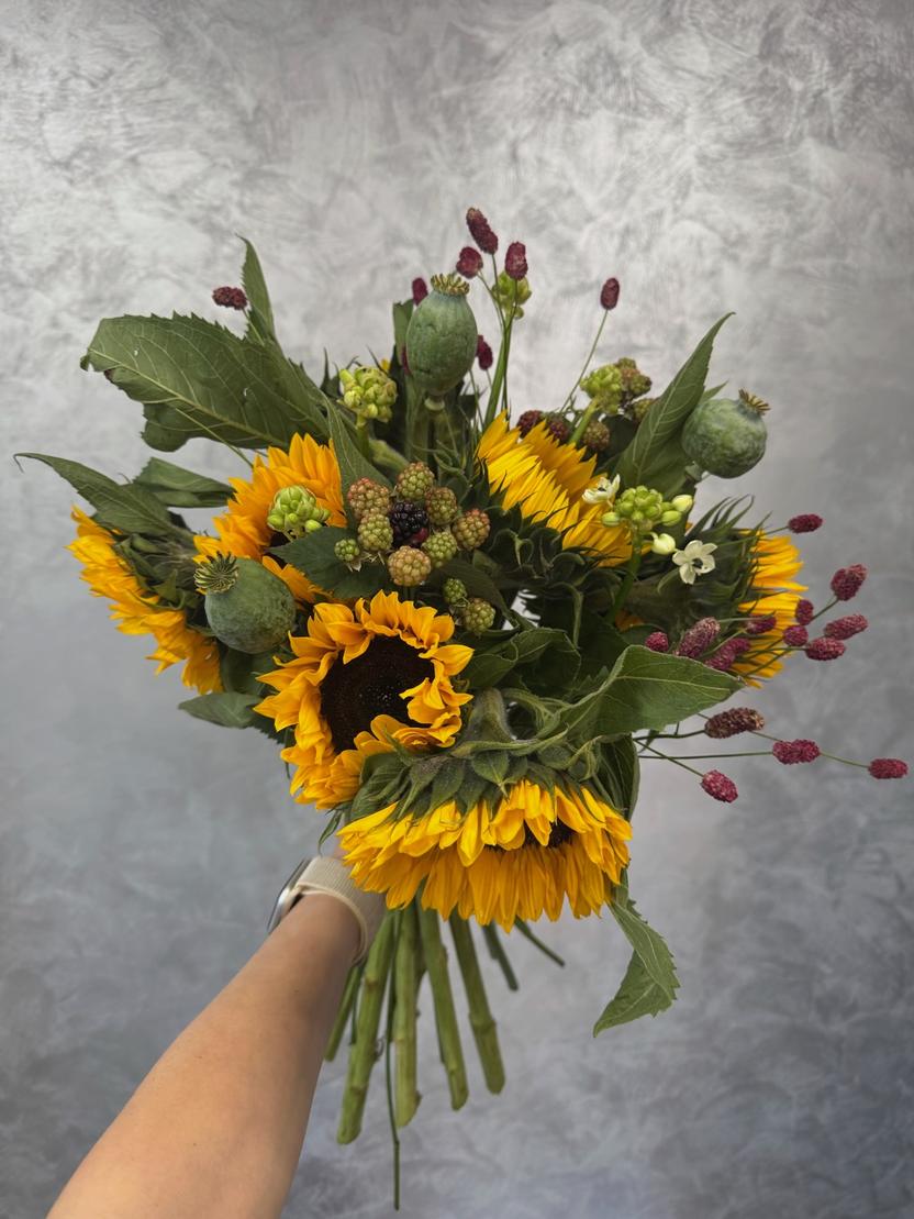 Квіти: Соняхи, мак, ожина, сангісорба