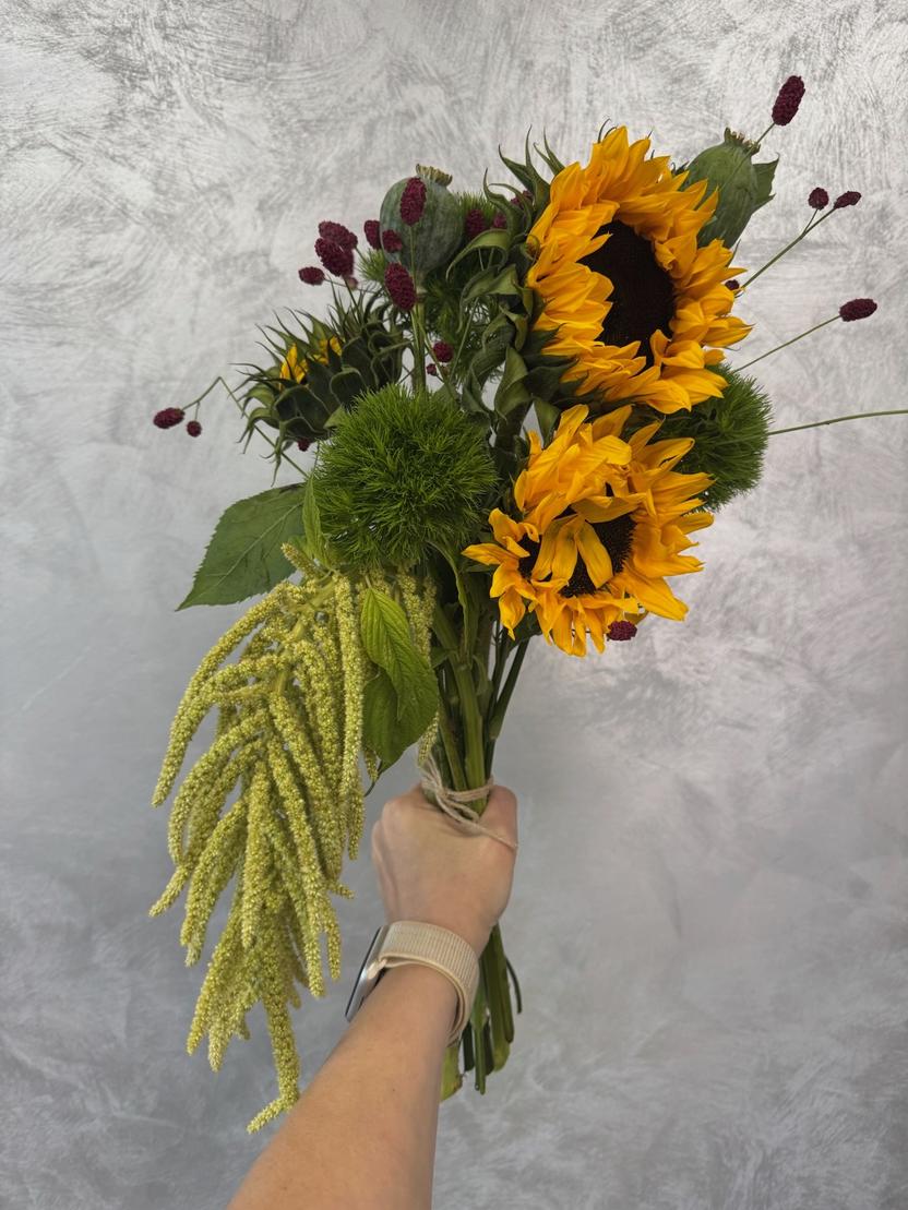 Квіти: Соняхи, гвоздика мох, амарант, сангісорба, мак