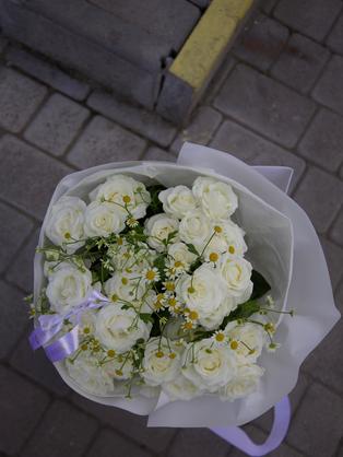 Квіти: Кущова троянда Wedding Party, танацетум