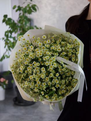 Квіти: Танацетум