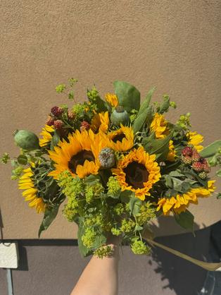 Квіти: Сонях, мак, ожина, буплерум