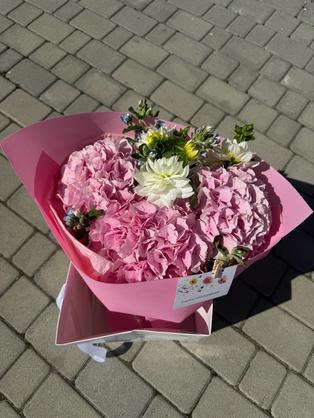 Квіти: Гортензія, жоржина, оксипеталум